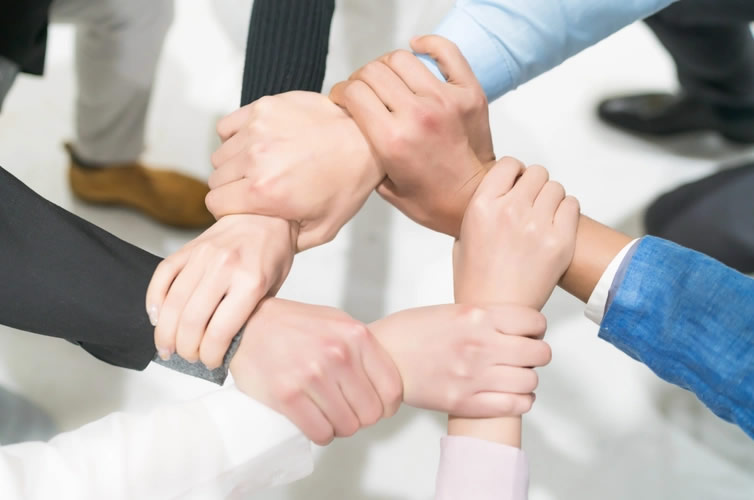 專業(yè)技術(shù)團(tuán)隊(duì)